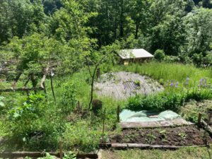 Garten mit Stellplatz für die Jurte